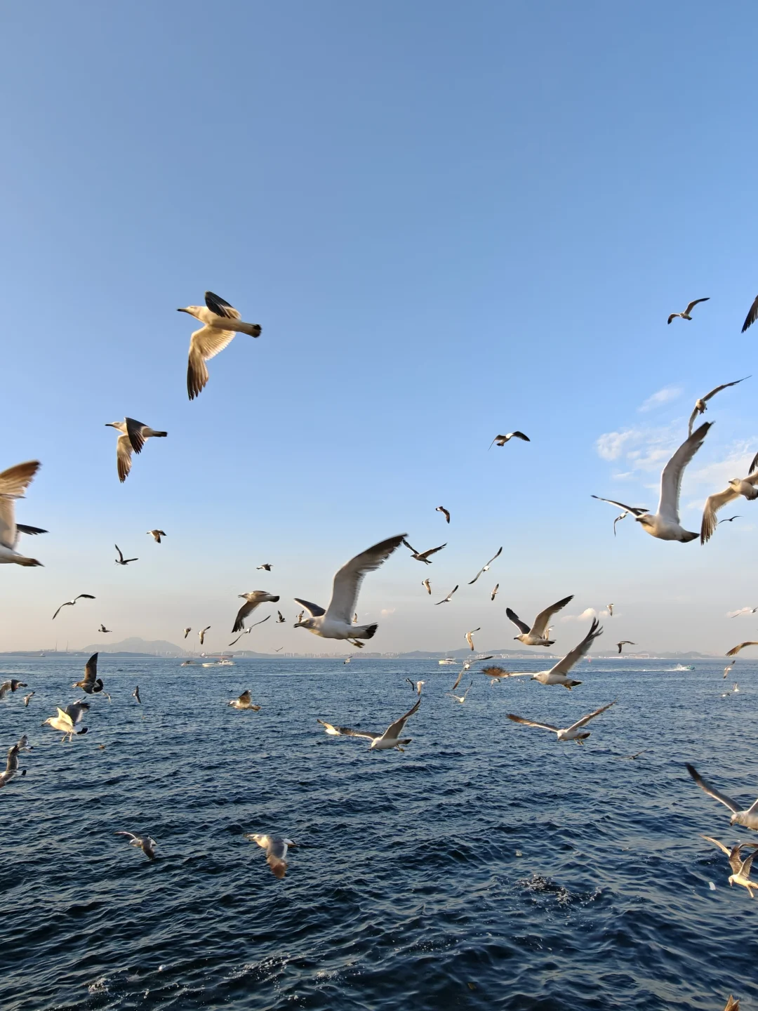 迄今为止，我和娃最喜欢的海滨城市出现了！