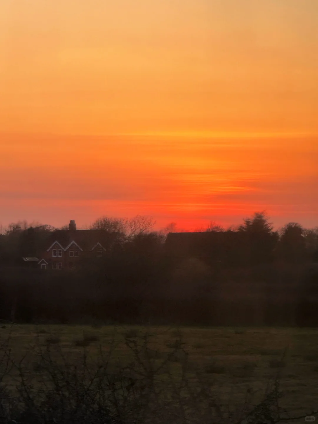 在白崖真的可以原谅全世界🌊