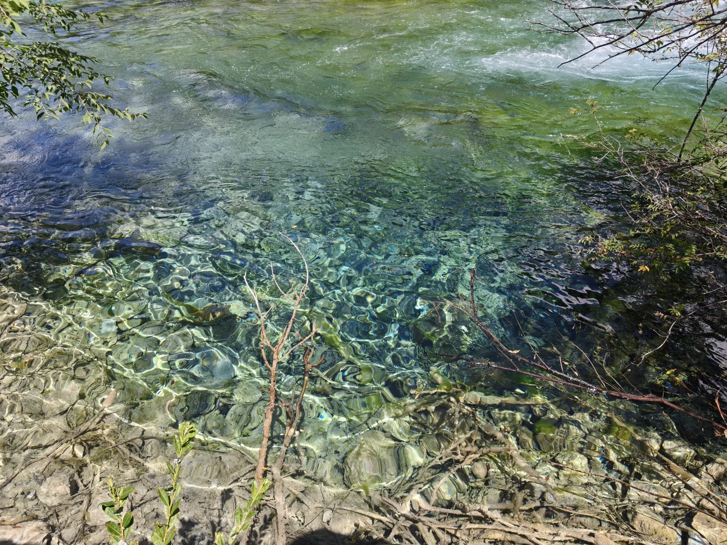 带妈妈玩成都+九寨沟（轻松版）