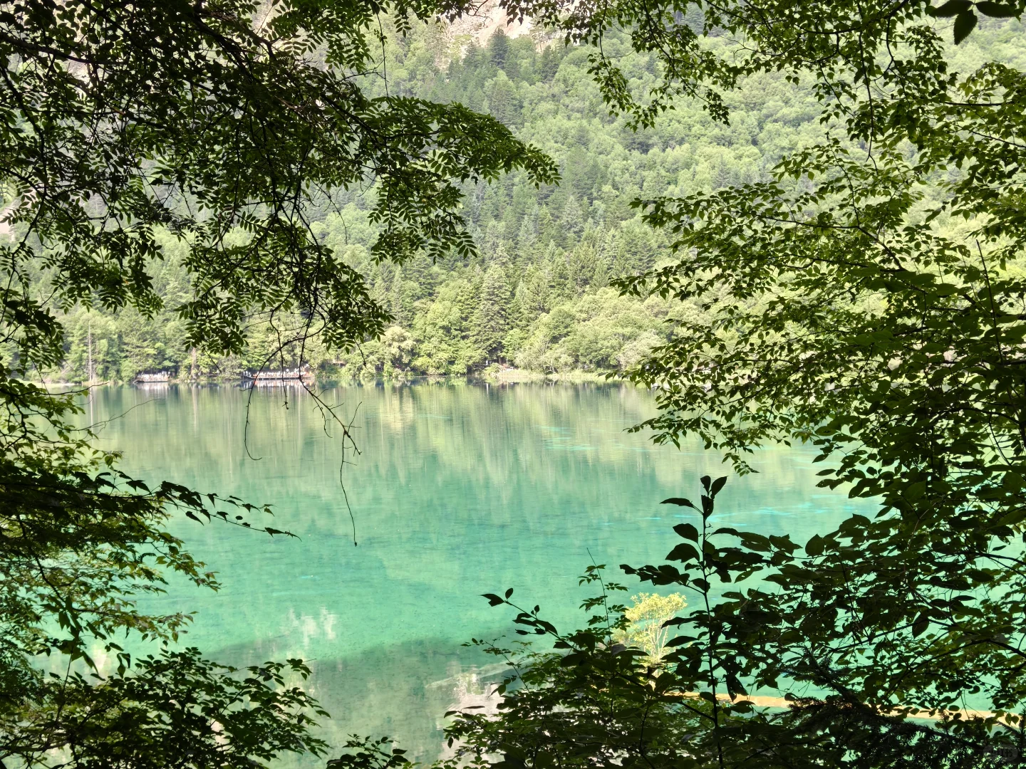 带妈妈玩成都+九寨沟（轻松版）