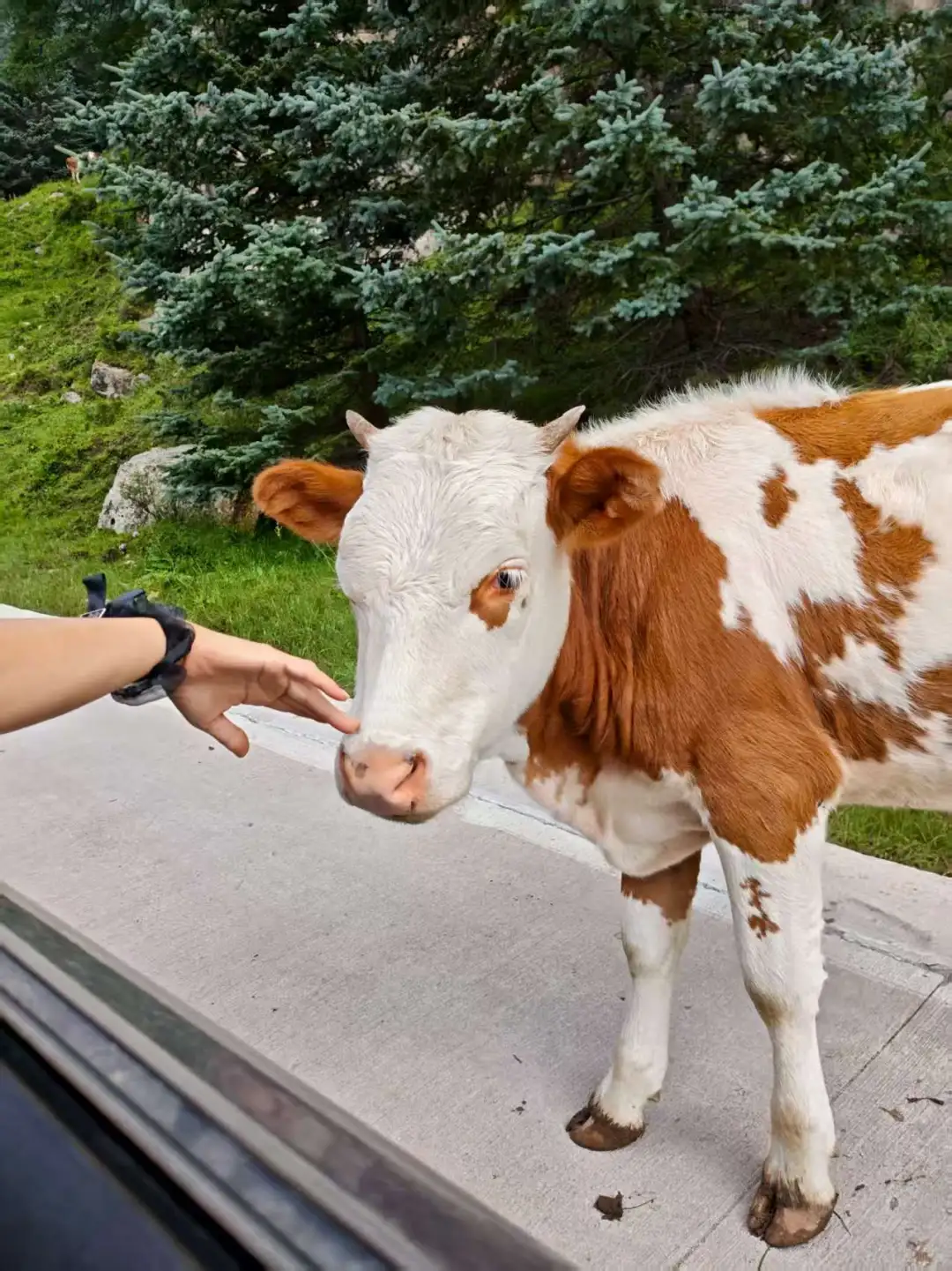 来山西忻州，别去五台山了，来这两个地方！