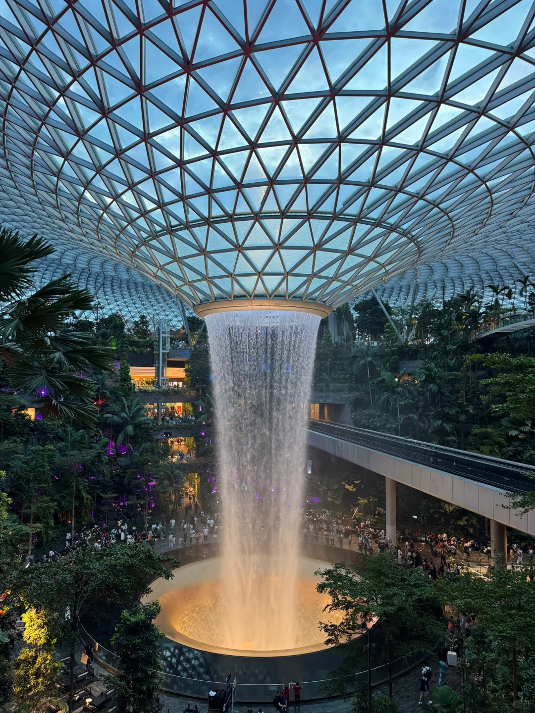 🇸🇬藏在机场里的瀑布和森林