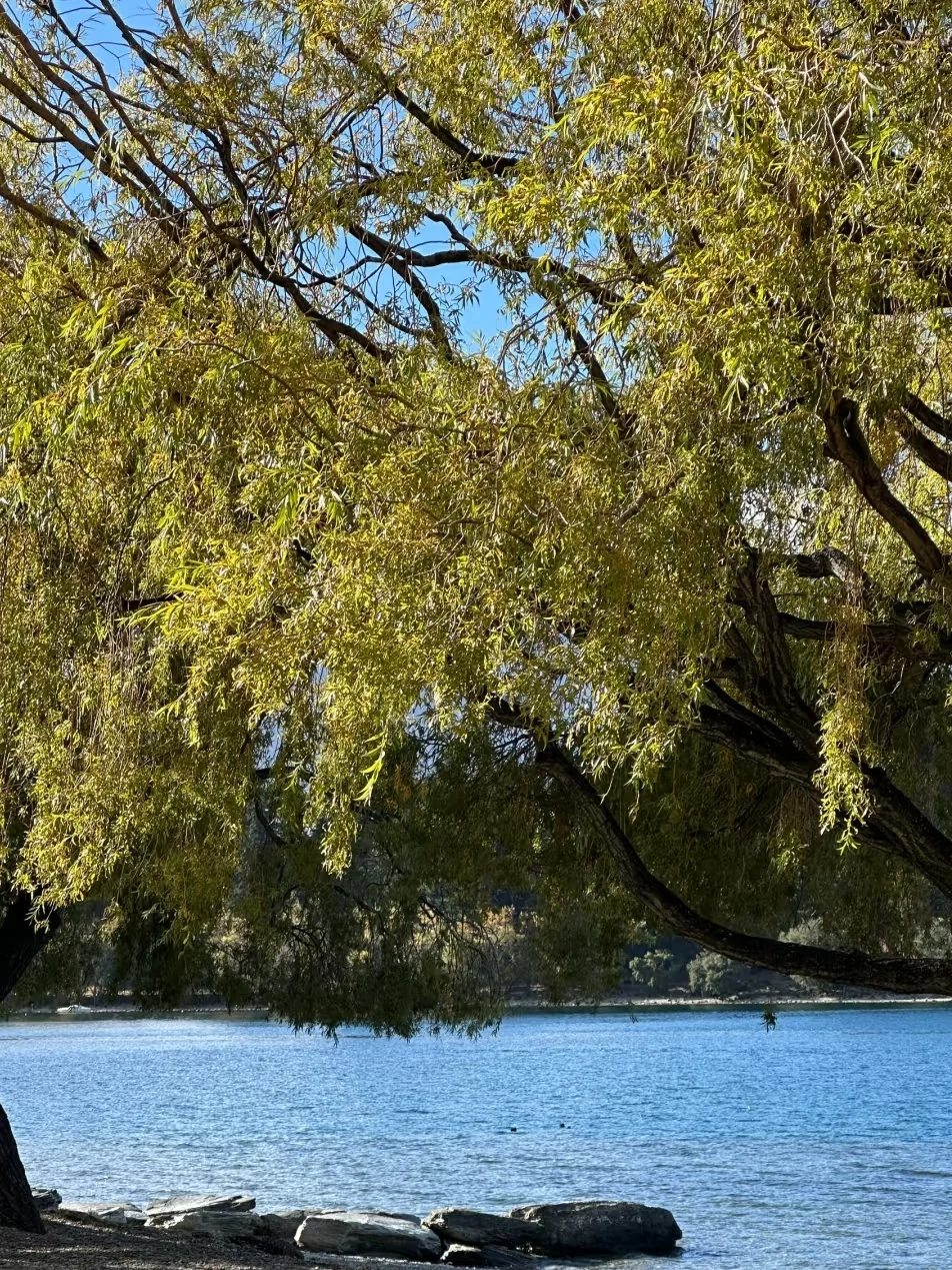 两个人去新西兰，2.5自由行已回（纯分享）