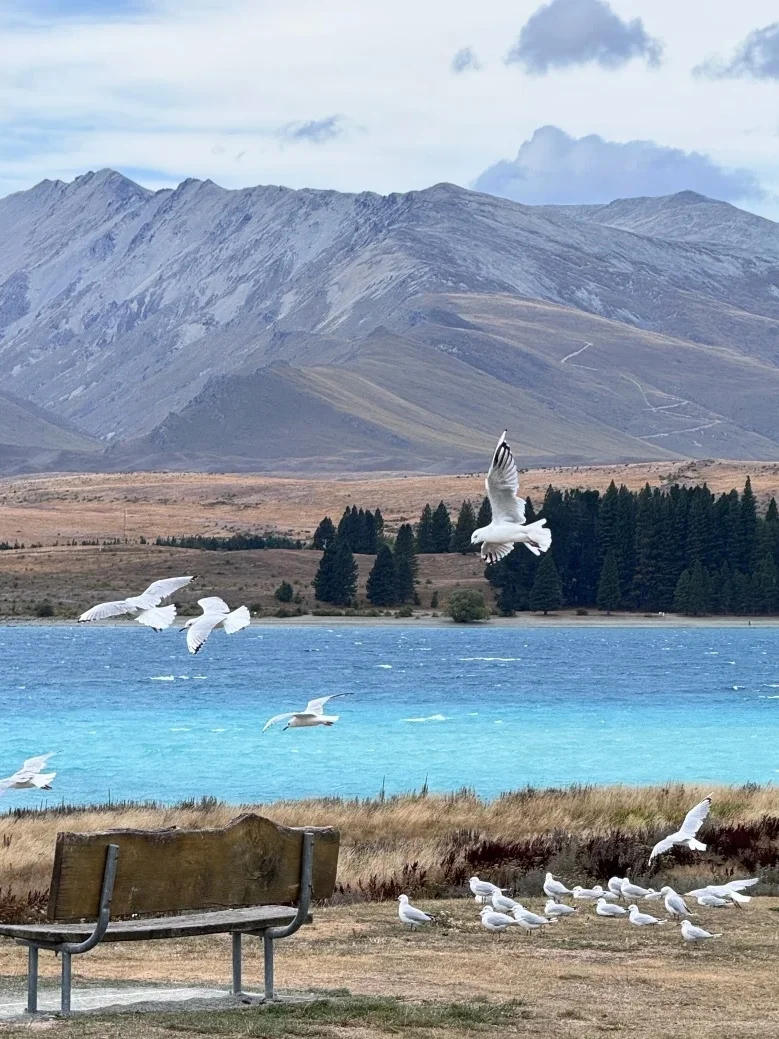 两个人去新西兰，2.5自由行已回（纯分享）
