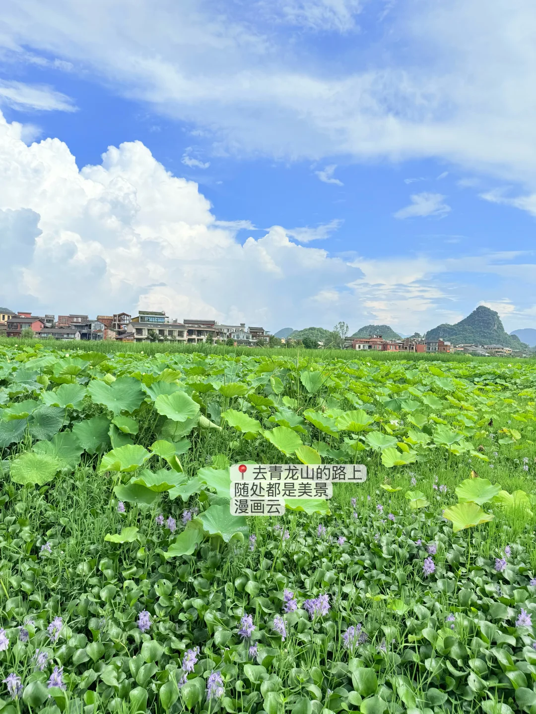 滇东南小环线 | 弥勒普者黑建水昆明