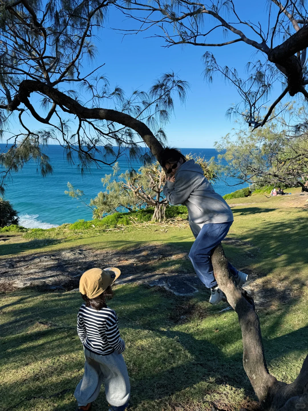 🇦🇺|布里斯班北岛游一游🏝️