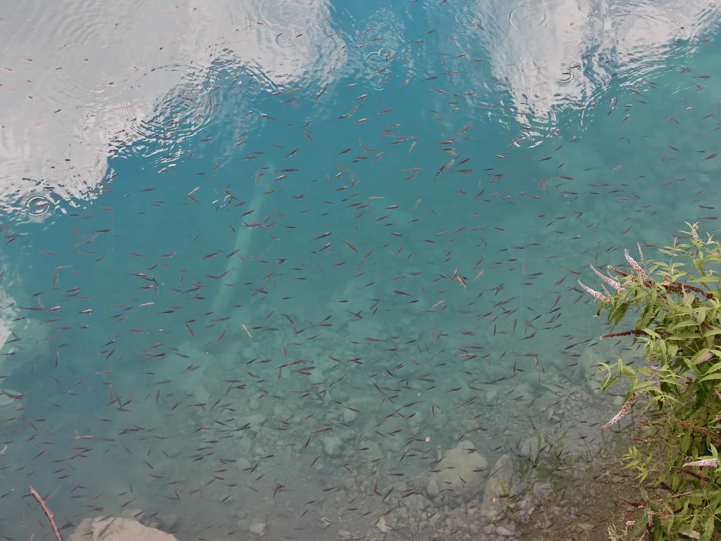 带妈妈玩成都+九寨沟（轻松版）