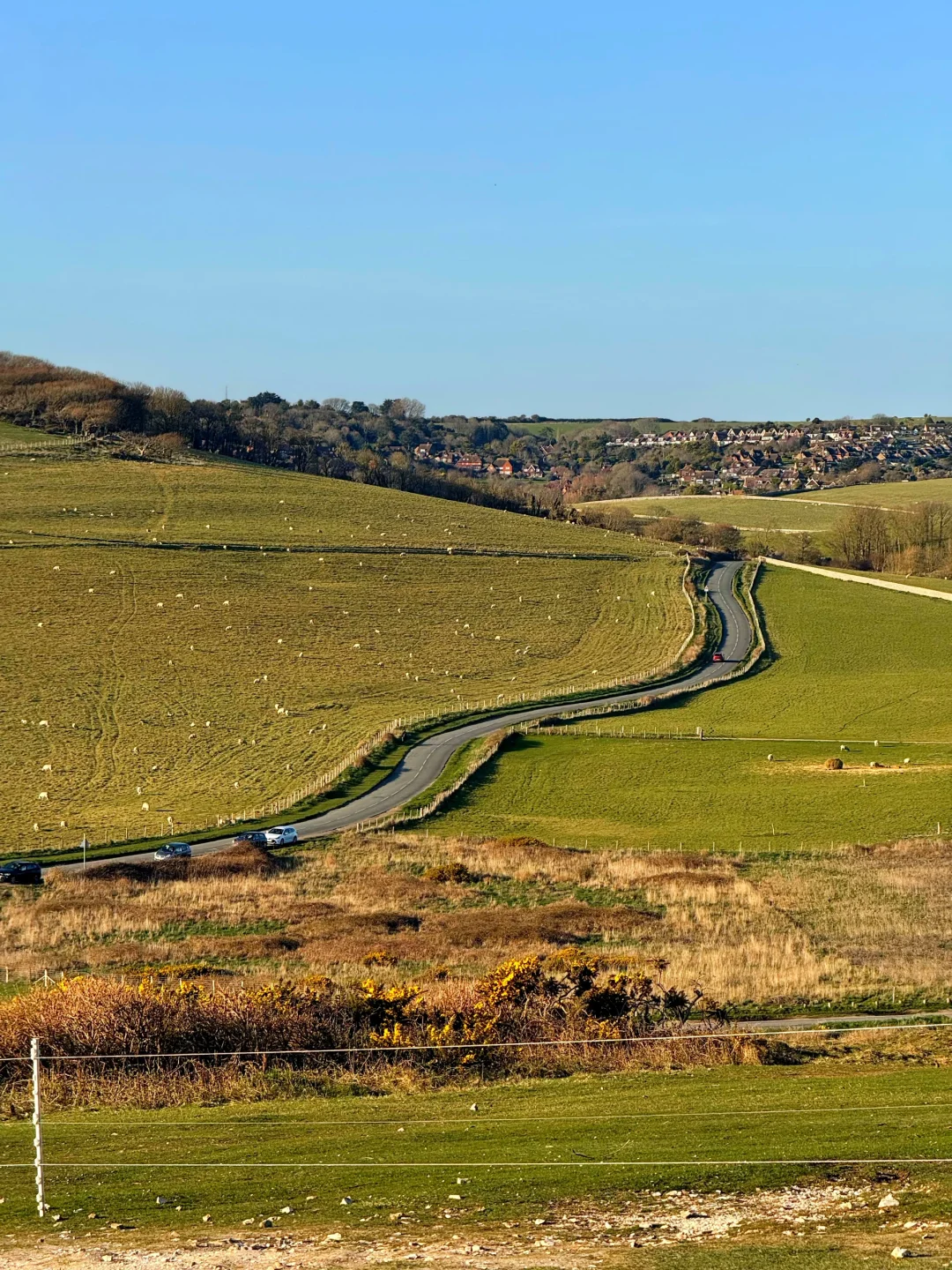 在白崖真的可以原谅全世界🌊