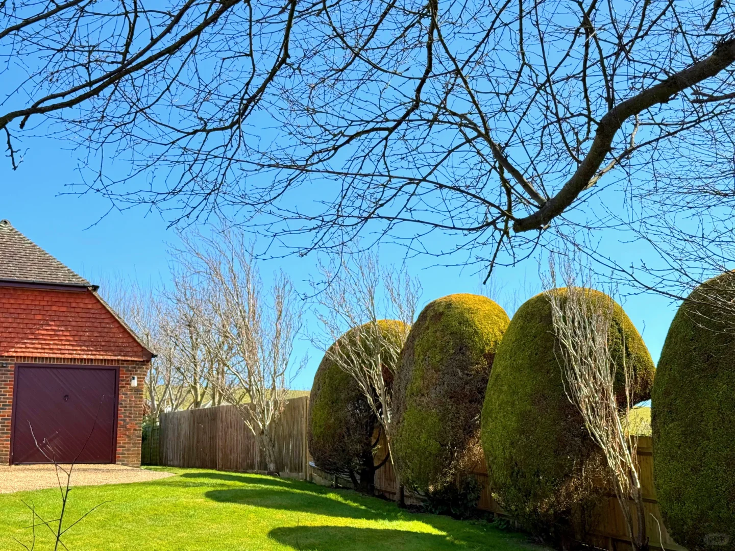 在白崖真的可以原谅全世界🌊