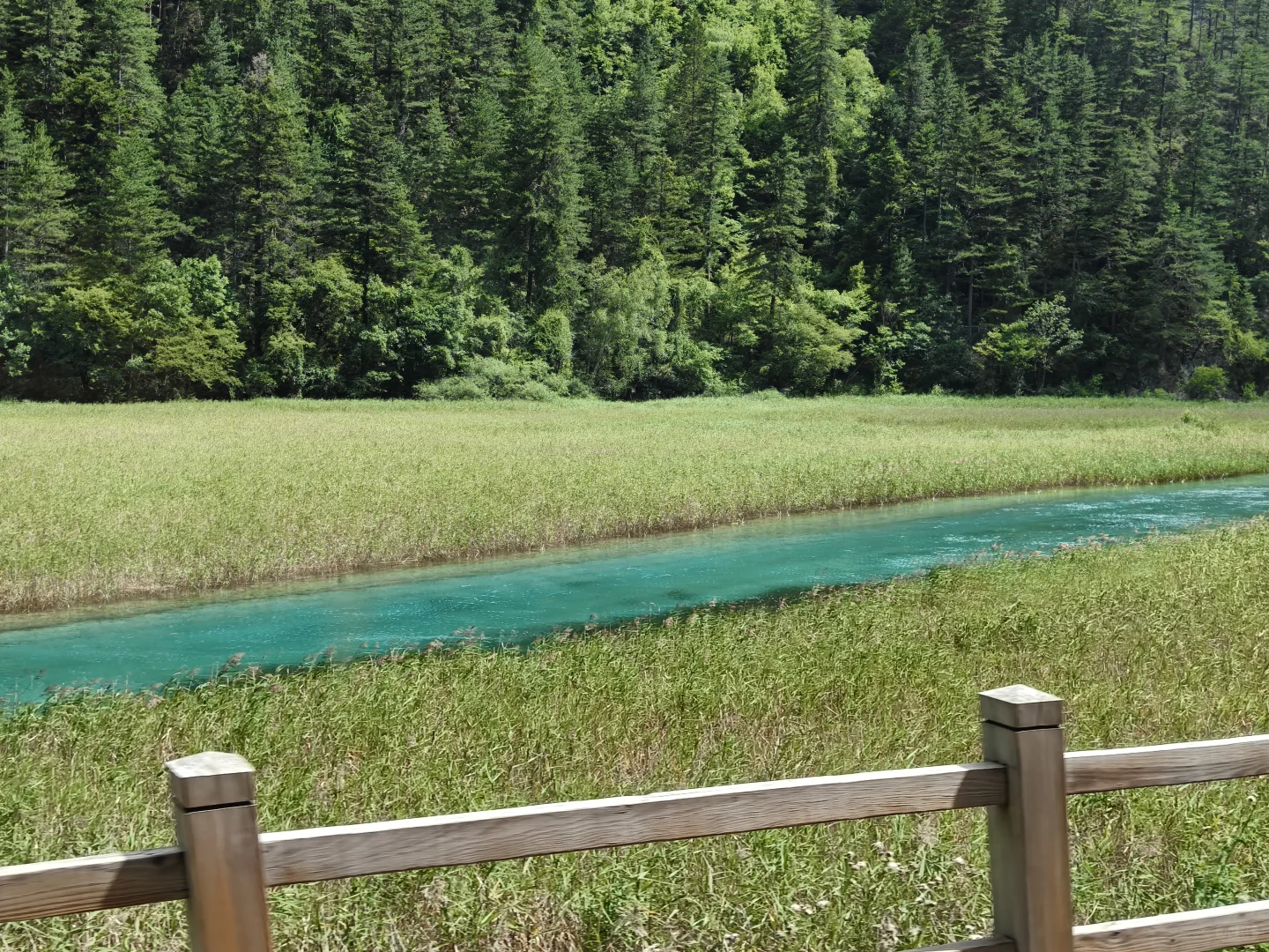 带妈妈玩成都+九寨沟（轻松版）