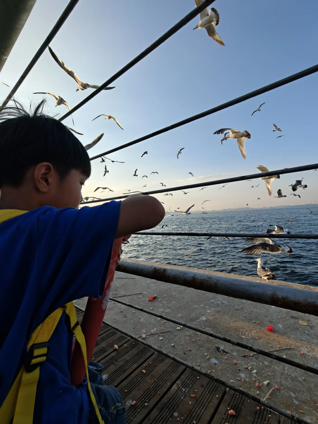 迄今为止，我和娃最喜欢的海滨城市出现了！