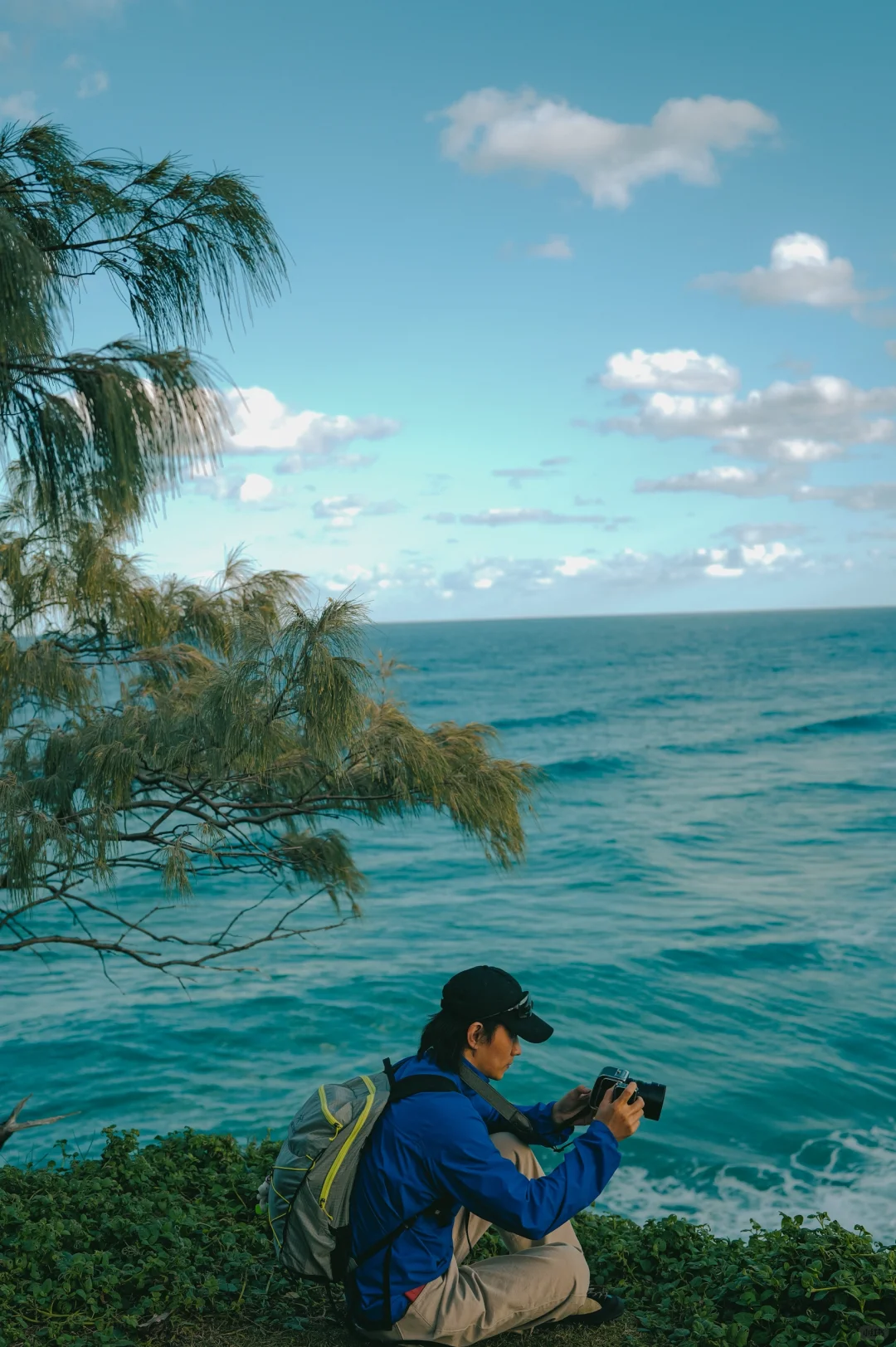🇦🇺|布里斯班北岛游一游🏝️