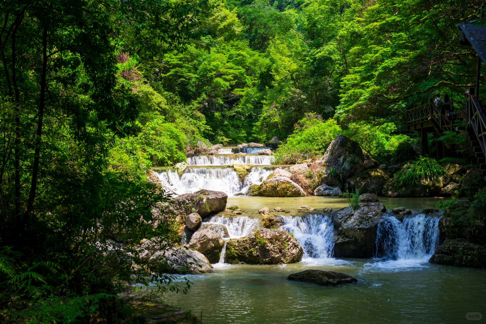 蓝战非一句话给我干湖北来了