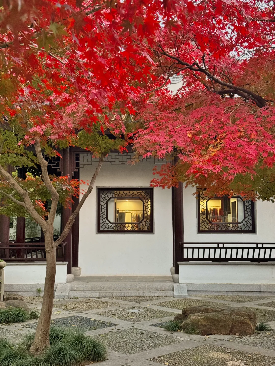 live🍂接下来的苏州,是国内秋日旅行天花板