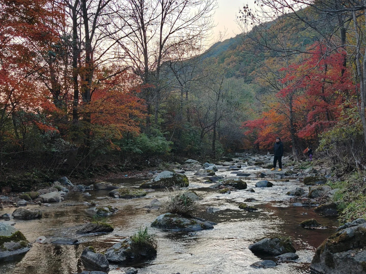 刚从本溪回来,六大赏枫景点大测评!(上篇)