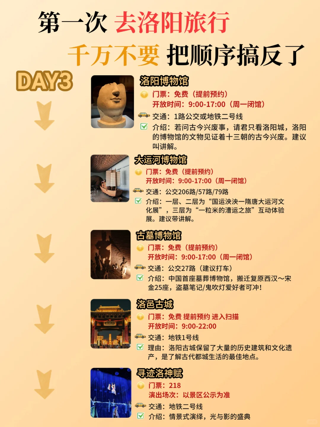 熬了个大夜😳三天两晚 洛阳游玩攻略备好啦