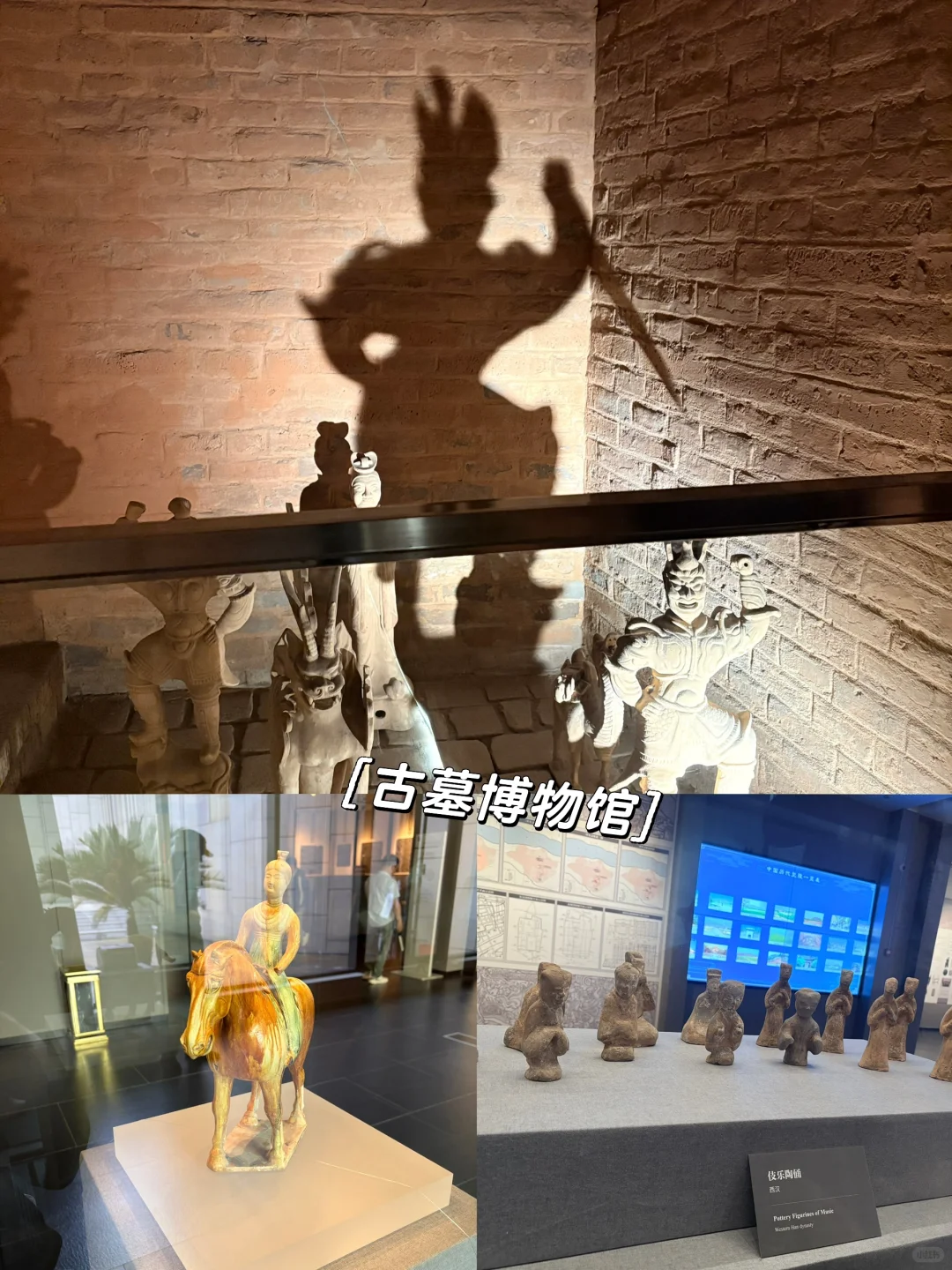 熬了个大夜😳三天两晚 洛阳游玩攻略备好啦