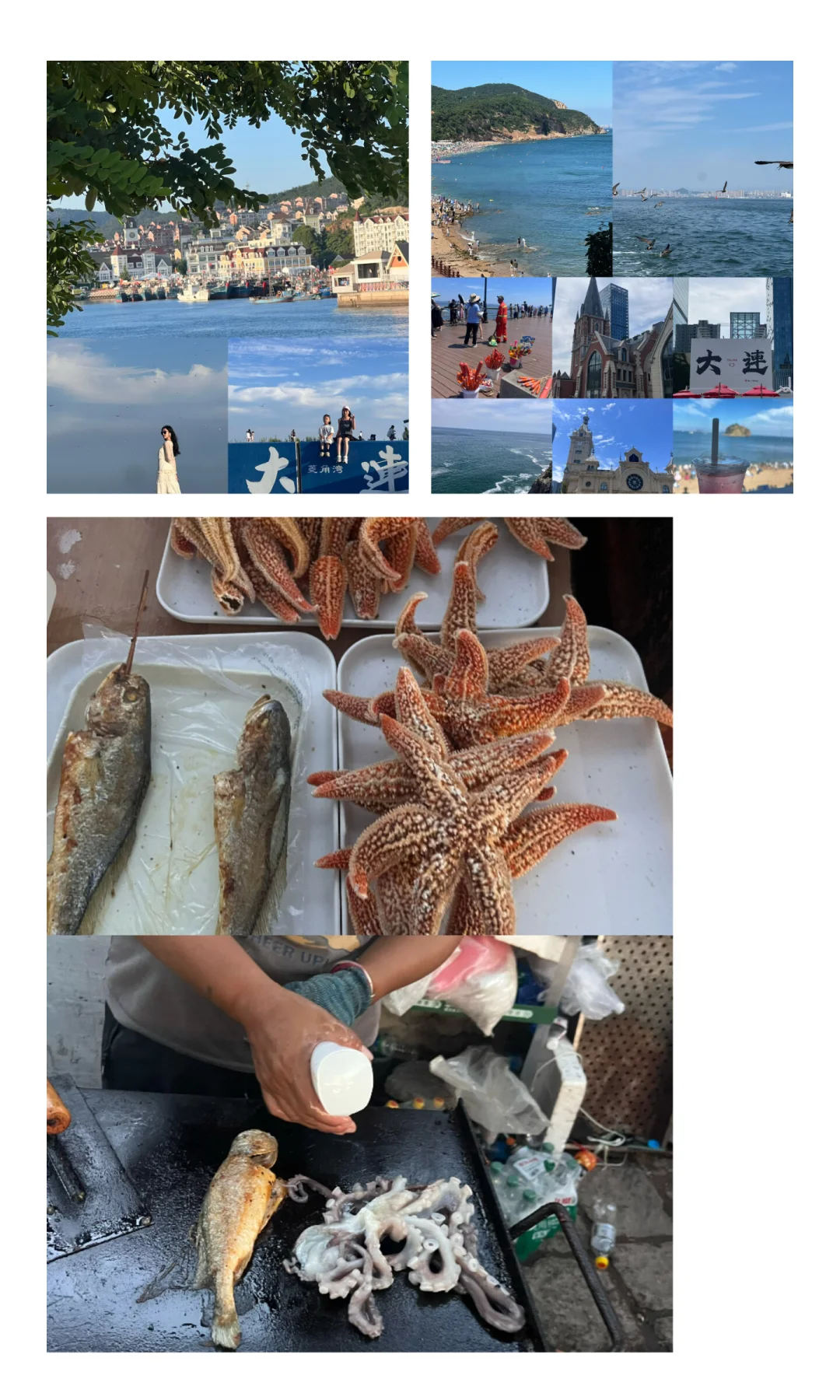 🌊青岛-烟台-大连沿海线|8天7晚浪漫攻略被
