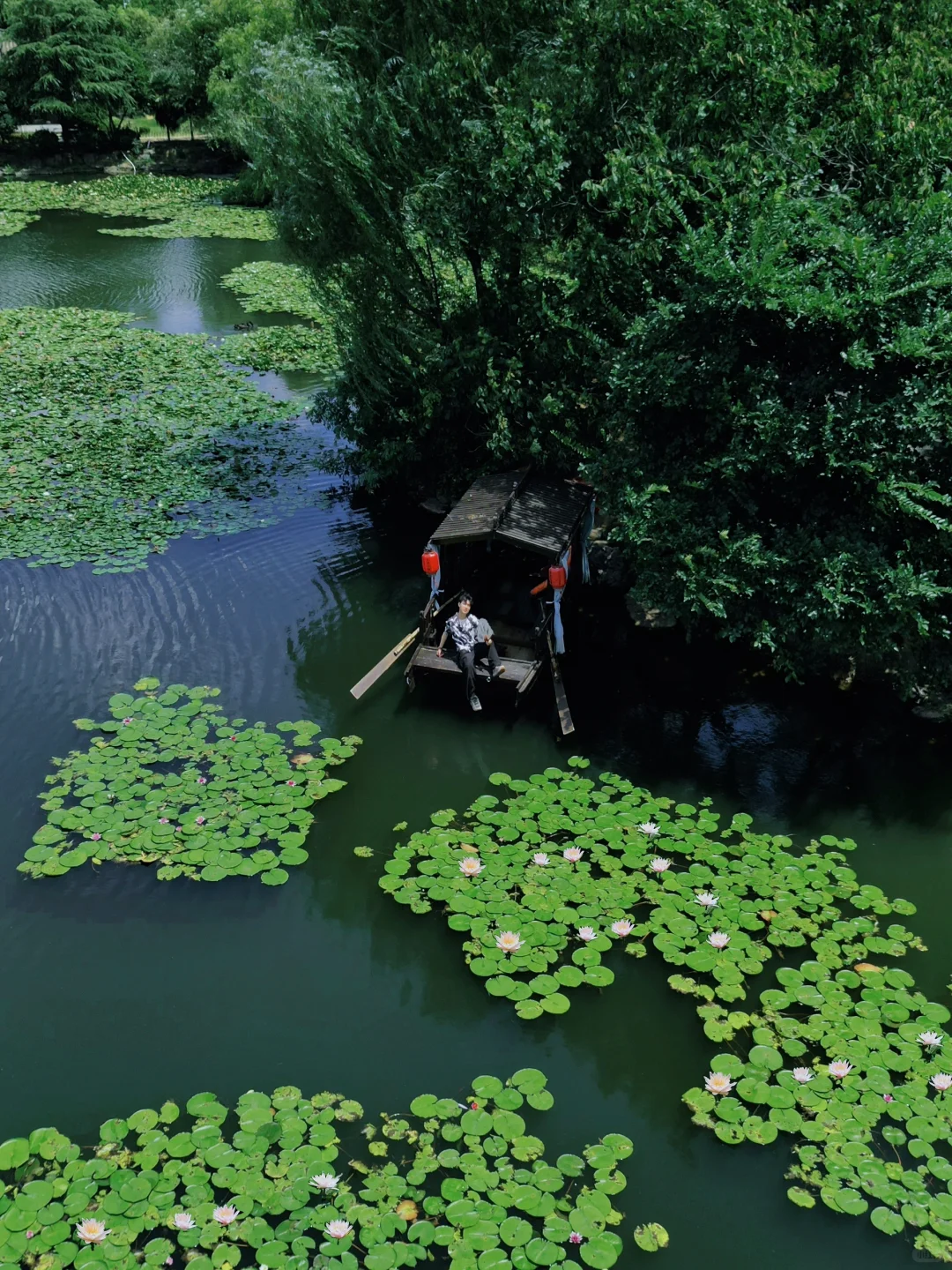 迄今为止，我最喜欢的避暑小镇出现了