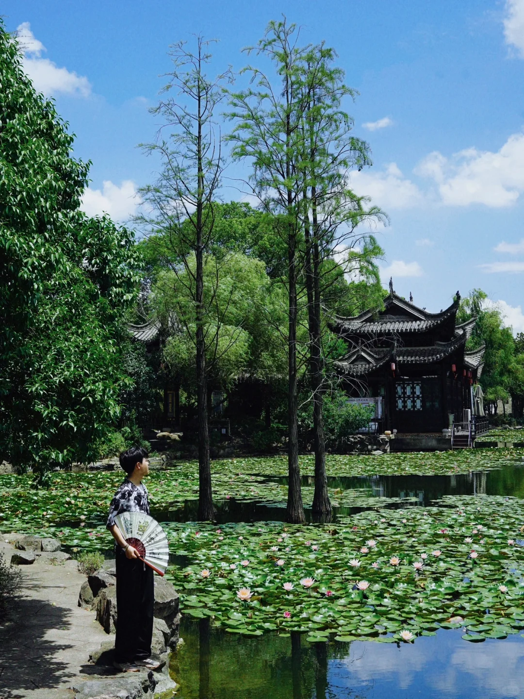 迄今为止，我最喜欢的避暑小镇出现了