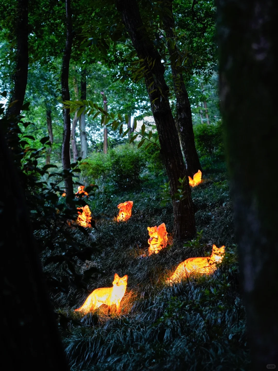 迄今为止，我最喜欢的避暑小镇出现了