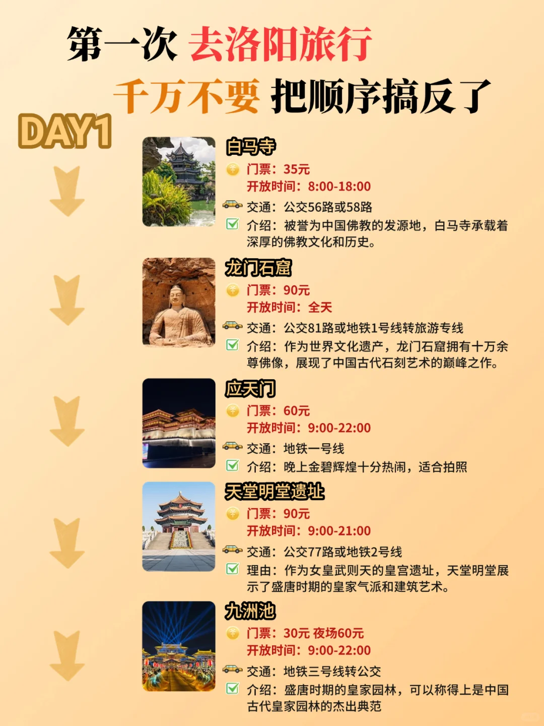 熬了个大夜😳三天两晚 洛阳游玩攻略备好啦