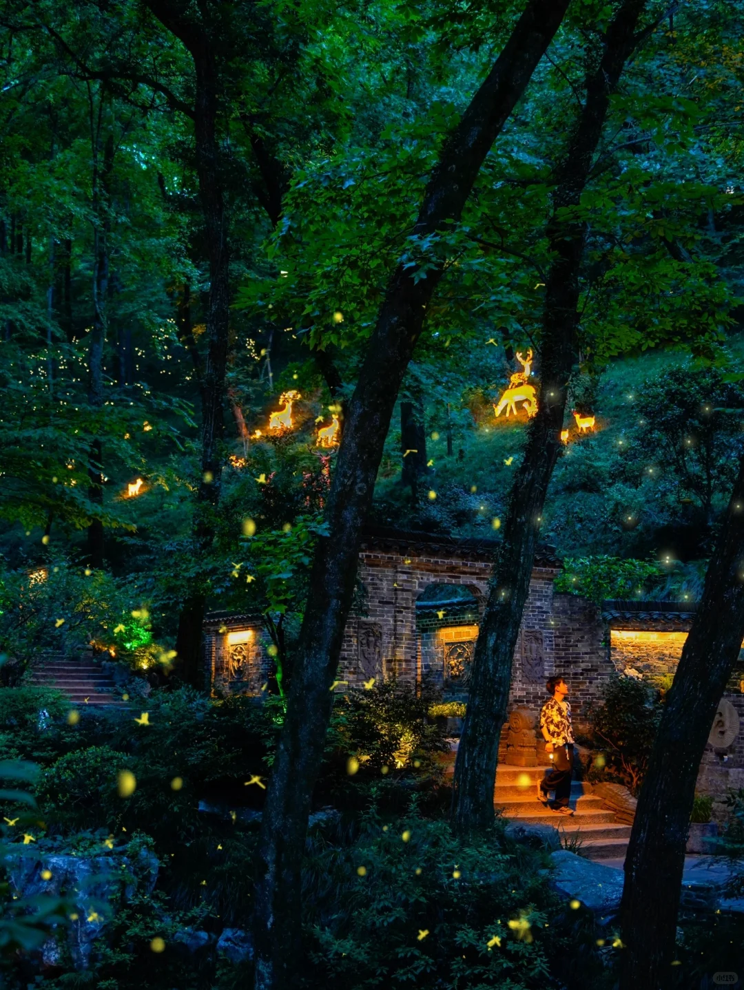 迄今为止，我最喜欢的避暑小镇出现了