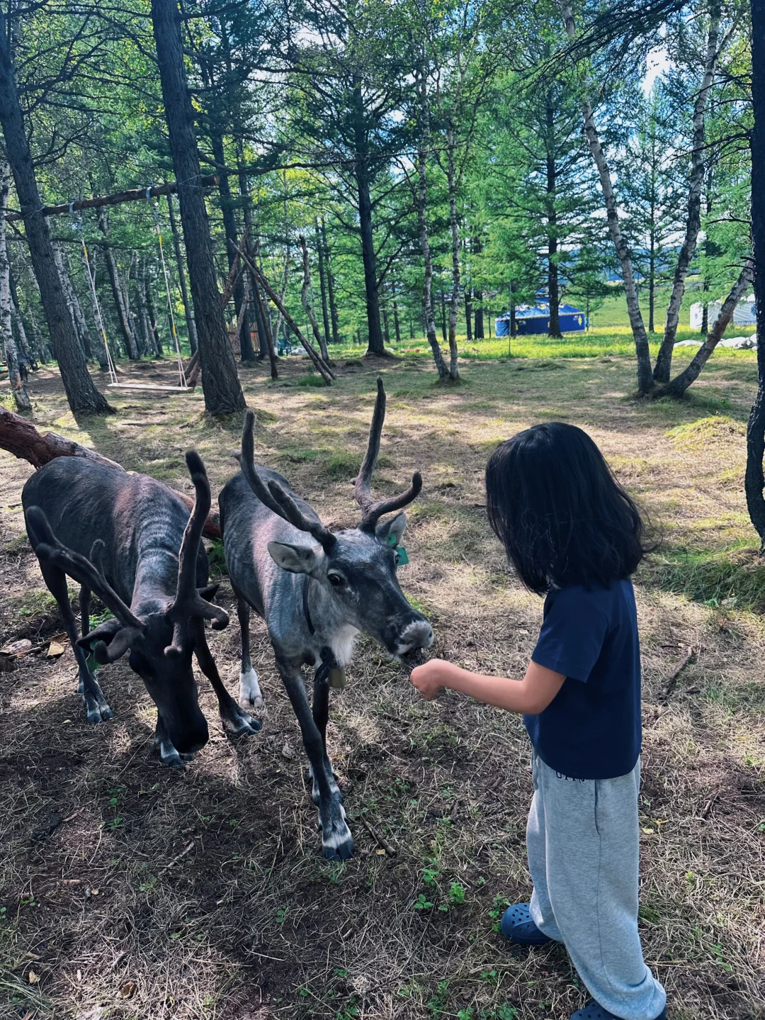 去不了新疆 内蒙古阿尔山旅游攻略来咯!