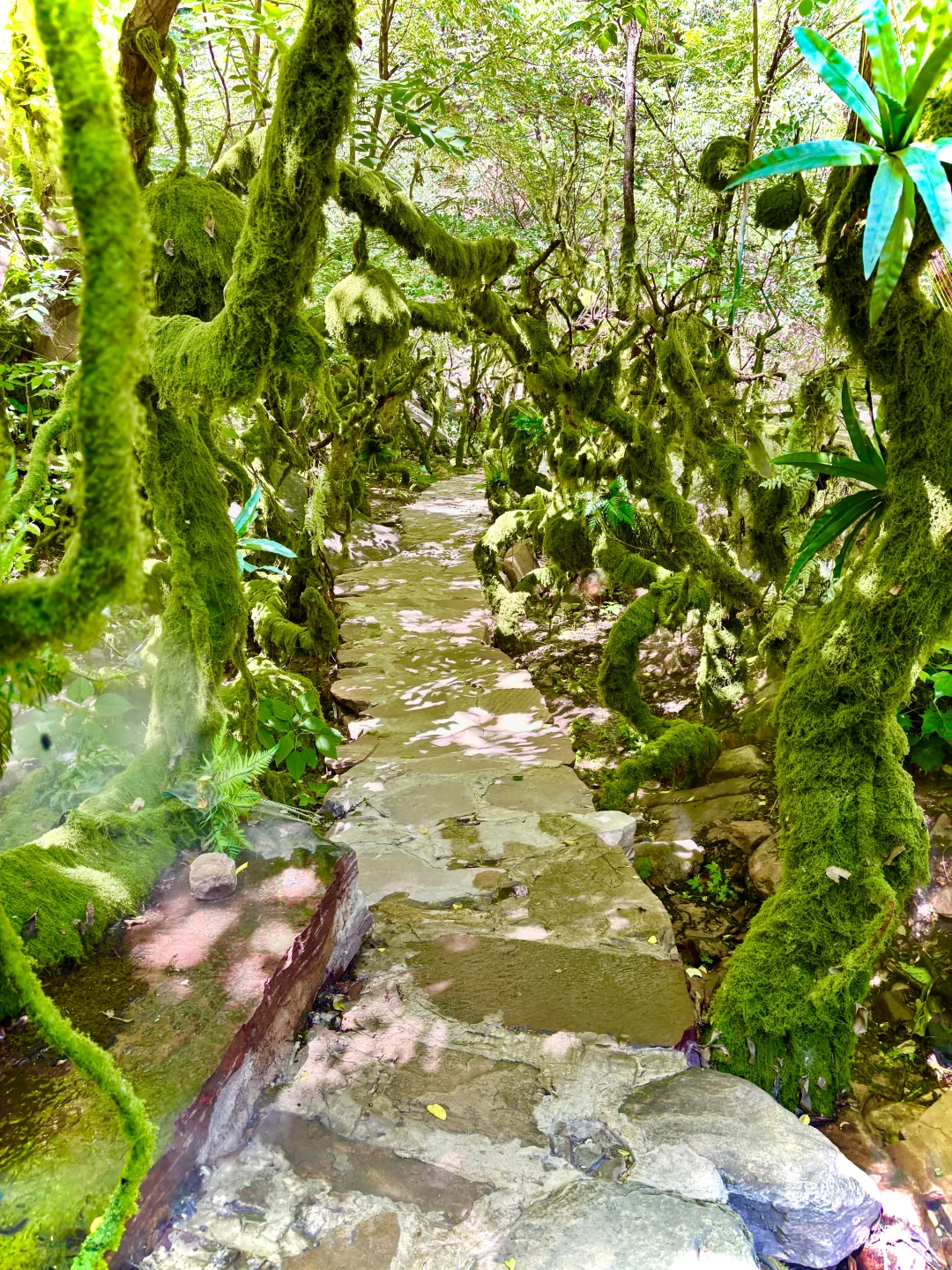 在邯郸找到了25°C的夏天，宝藏“小江南”