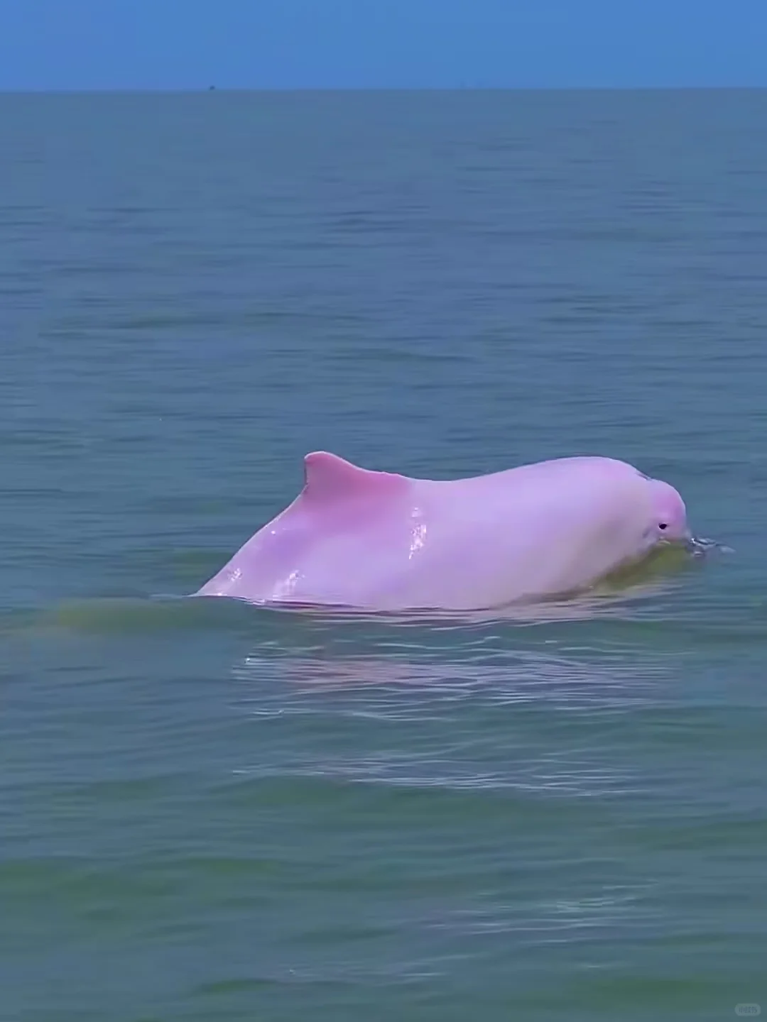 📍7.29崇左带娃已回，说点难听大实话…