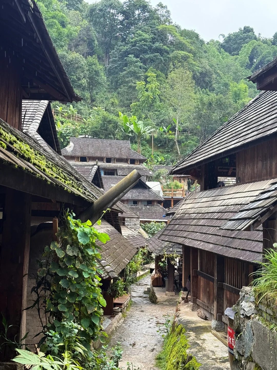 景迈山吃喝住行玩详细攻略