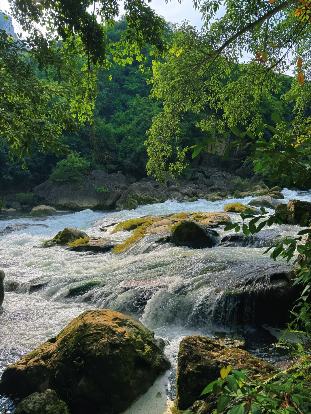 今日任务：走进小学课本里的“黄果树瀑布”