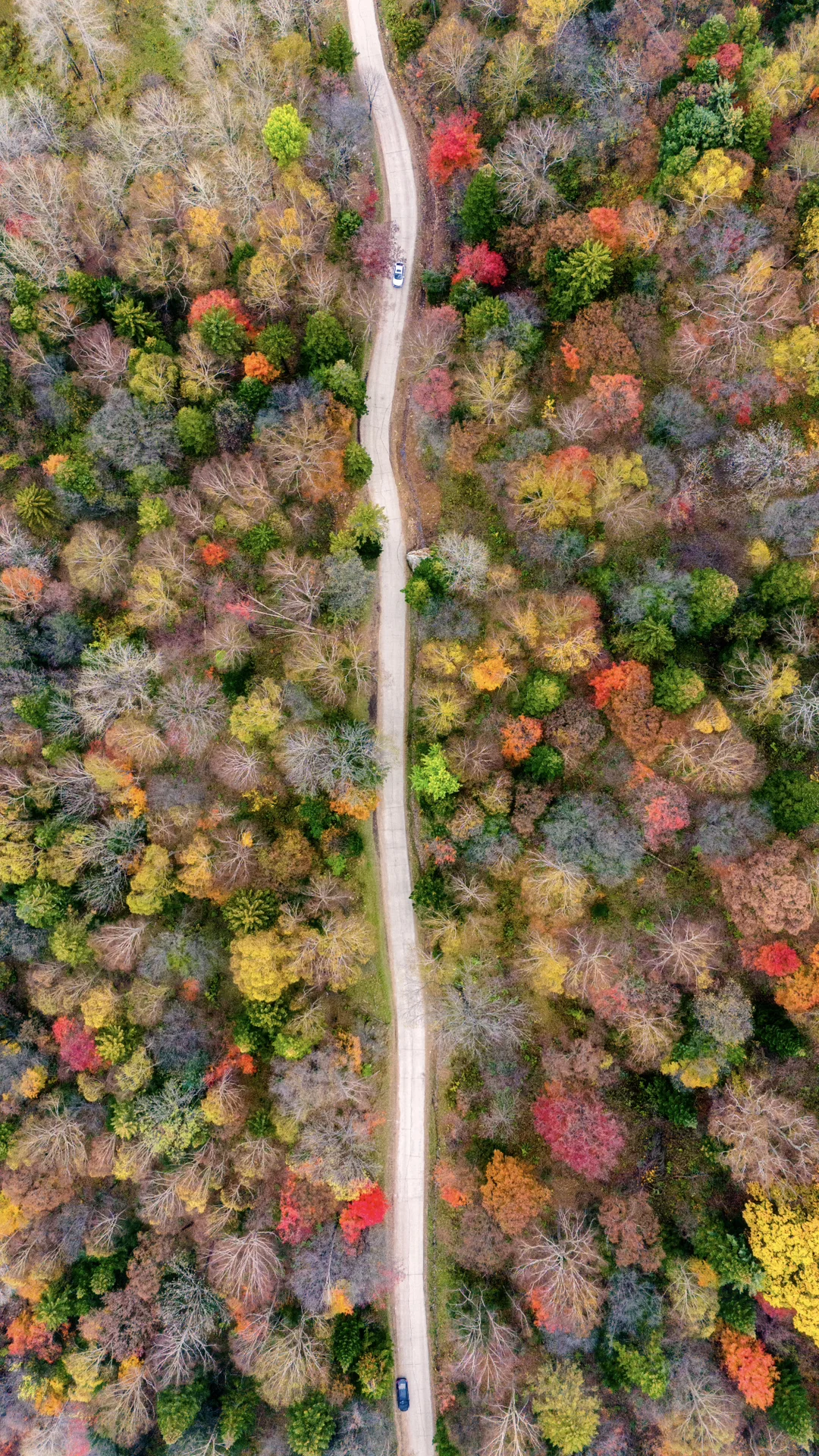 没想到长白山的溪谷竟然有如此美丽的秋天