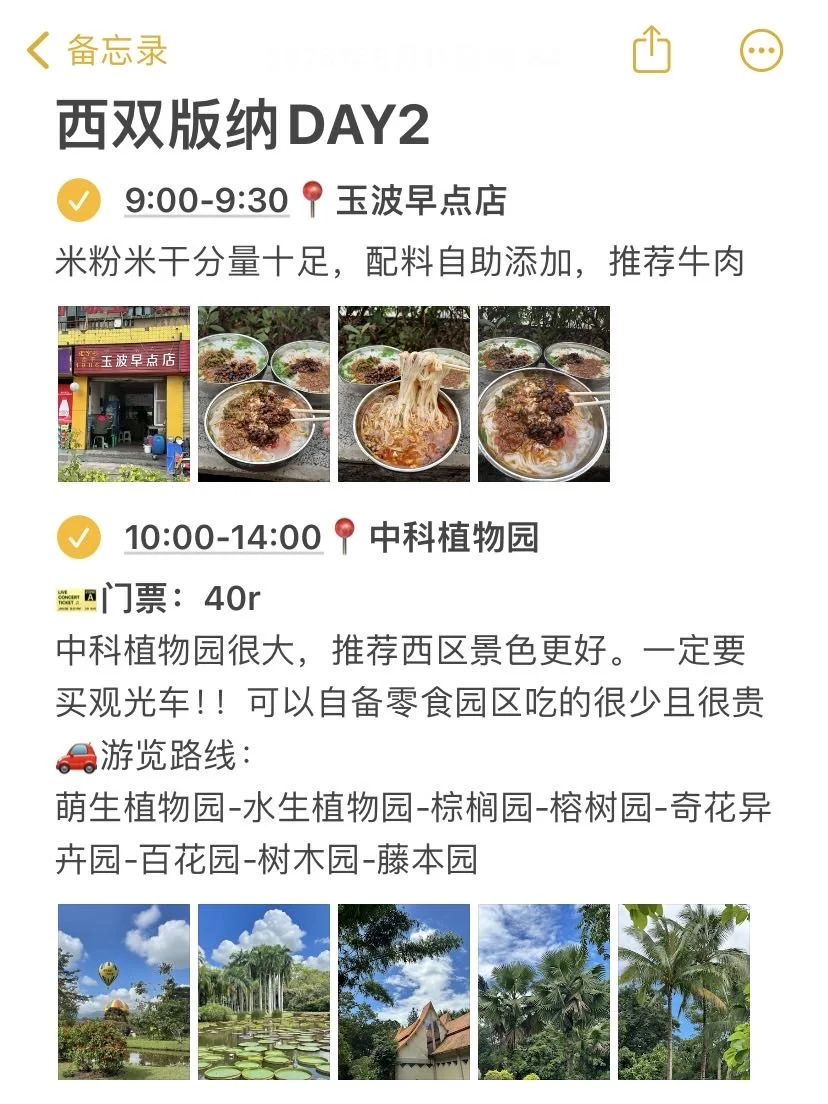 📍版纳已回！本J人对自己的攻略复盘甚是满意