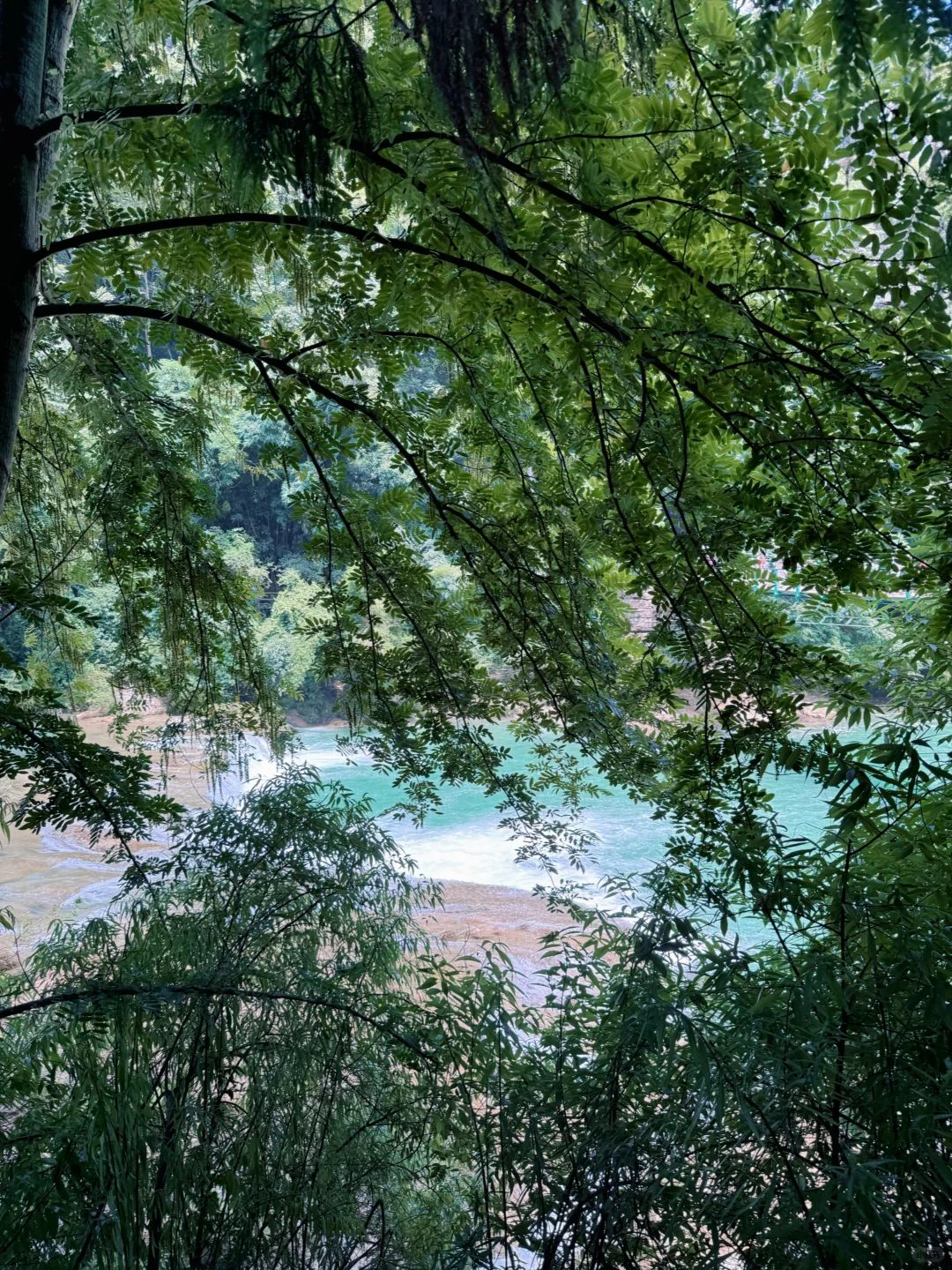 今日任务：走进小学课本里的“黄果树瀑布”