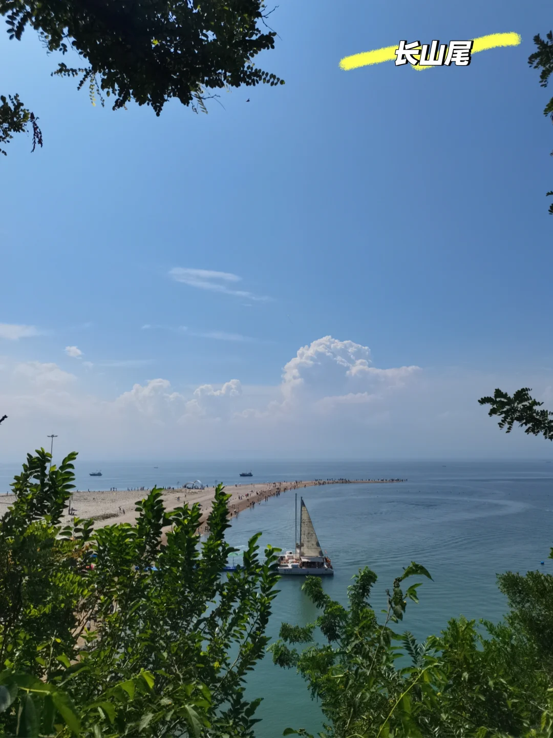 长岛行之烽山林海