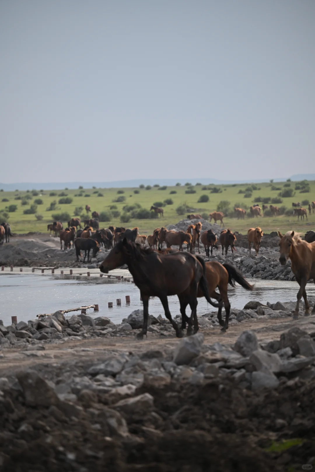 🌵乌兰察布周边🆓小众景点地-无滤镜版