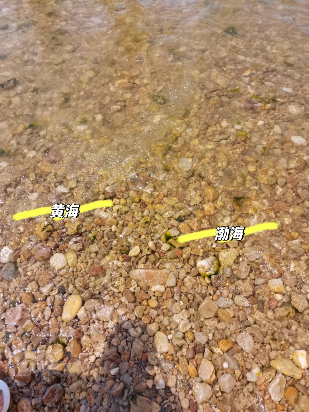 长岛行之烽山林海