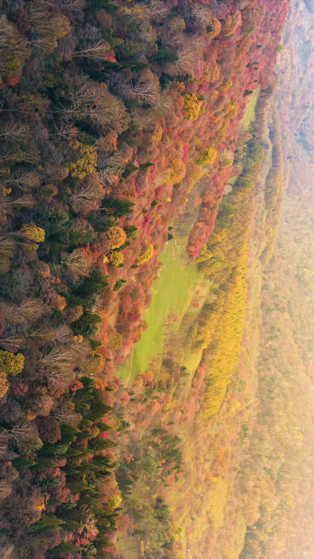 没想到长白山的溪谷竟然有如此美丽的秋天