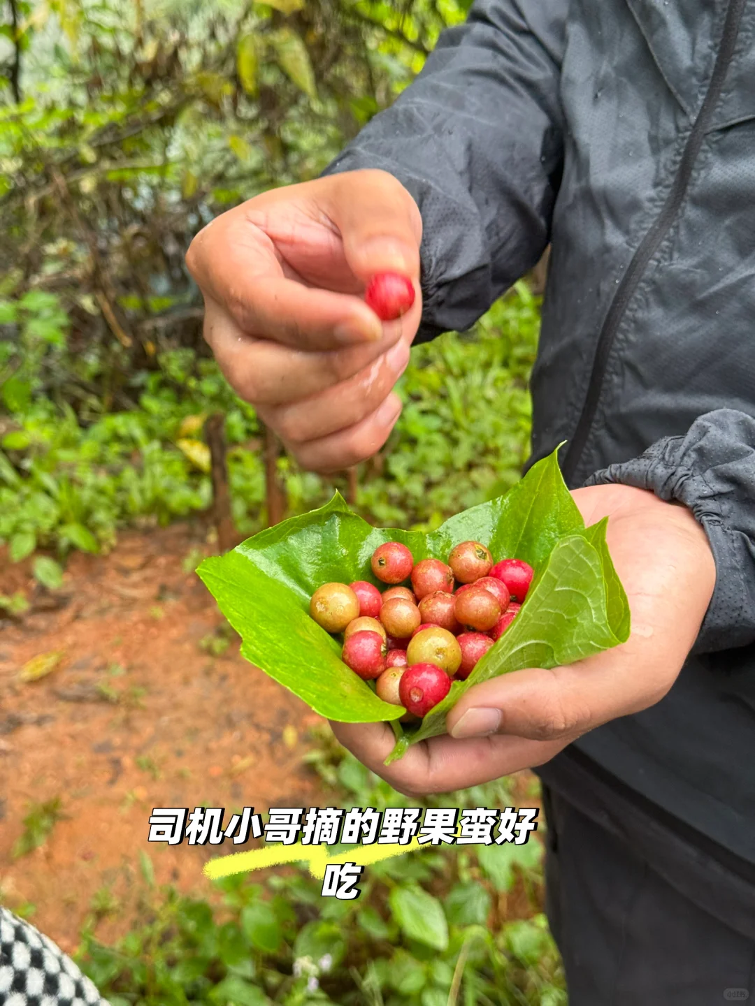 景迈山吃喝住行玩详细攻略