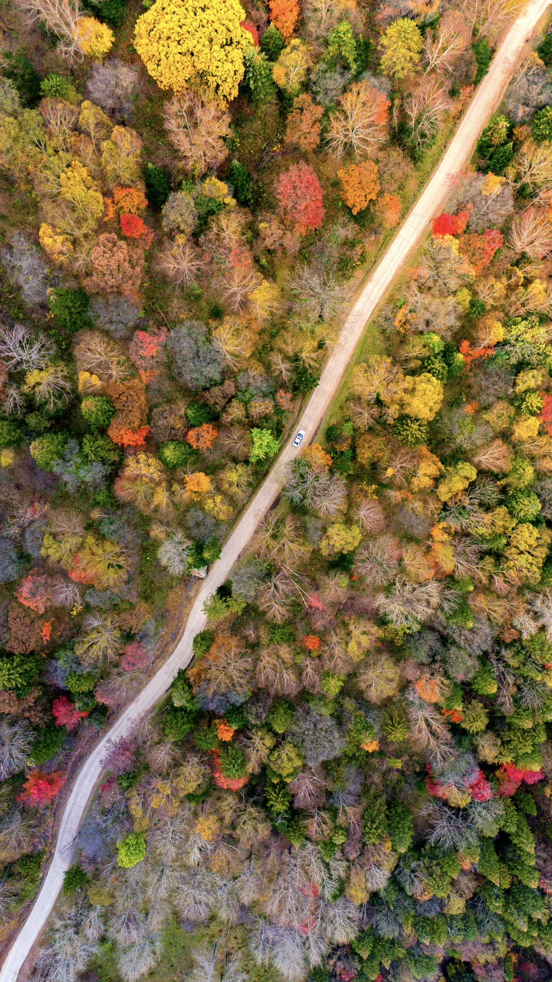 没想到长白山的溪谷竟然有如此美丽的秋天