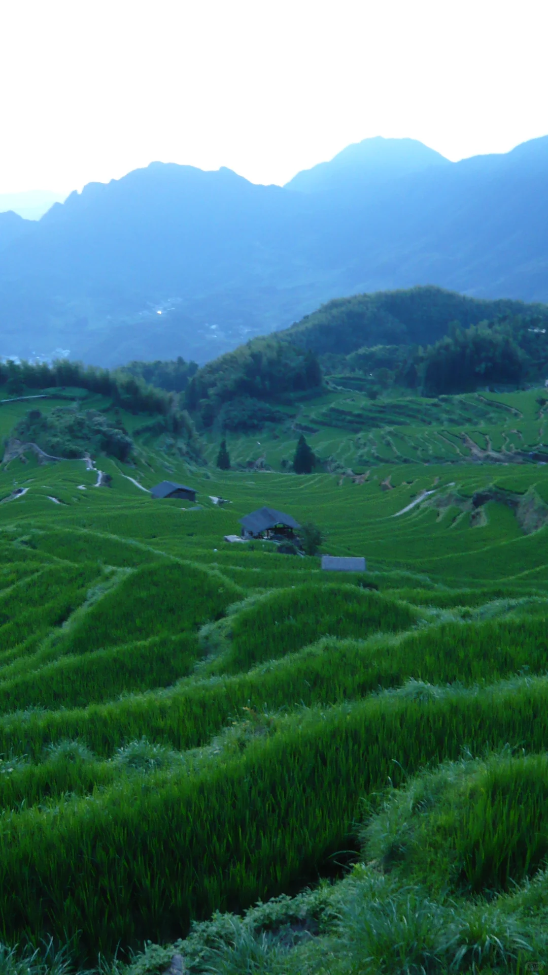 吸氧周末｜丽水48小时🌳🫧🌄
