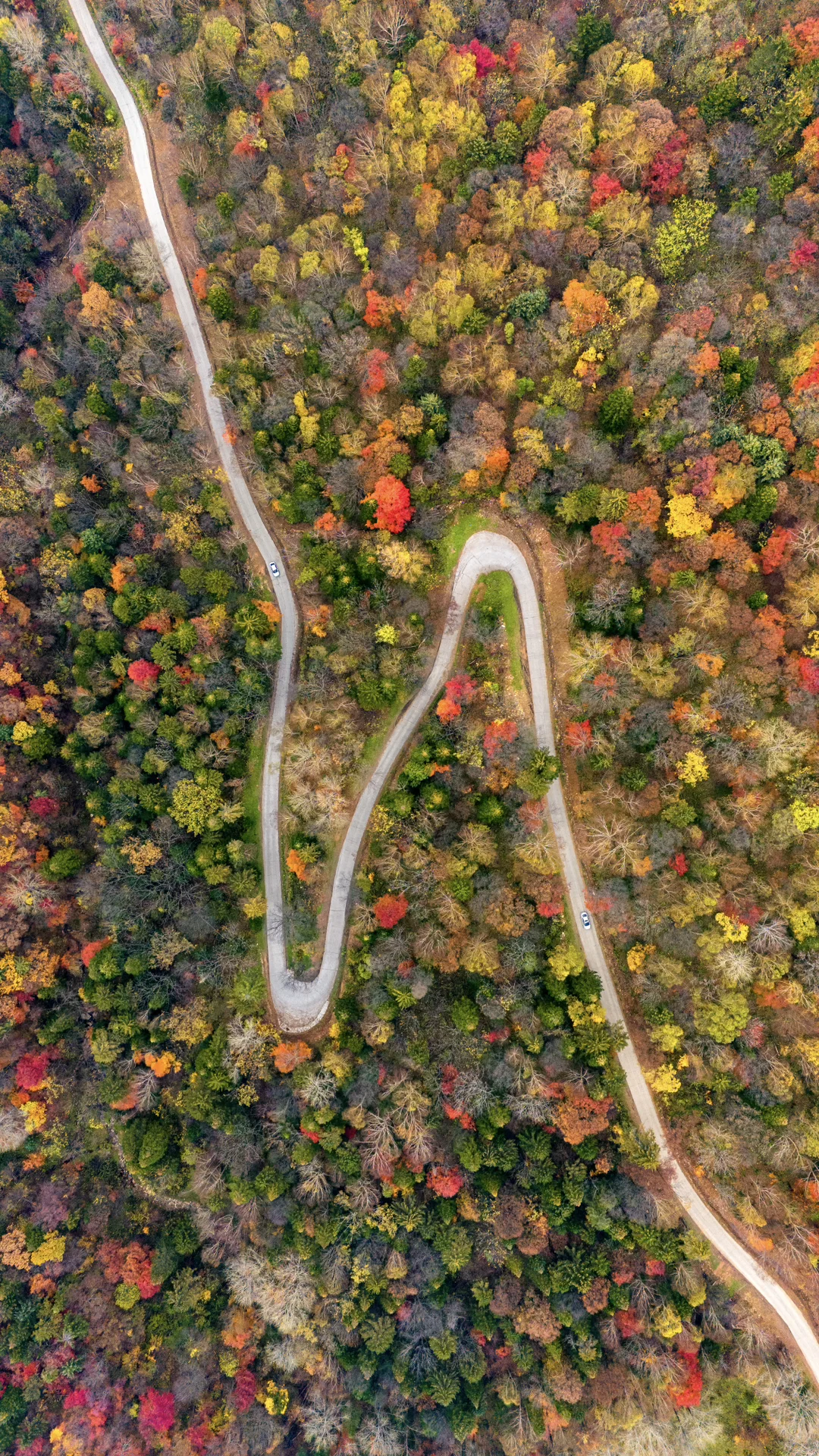 没想到长白山的溪谷竟然有如此美丽的秋天