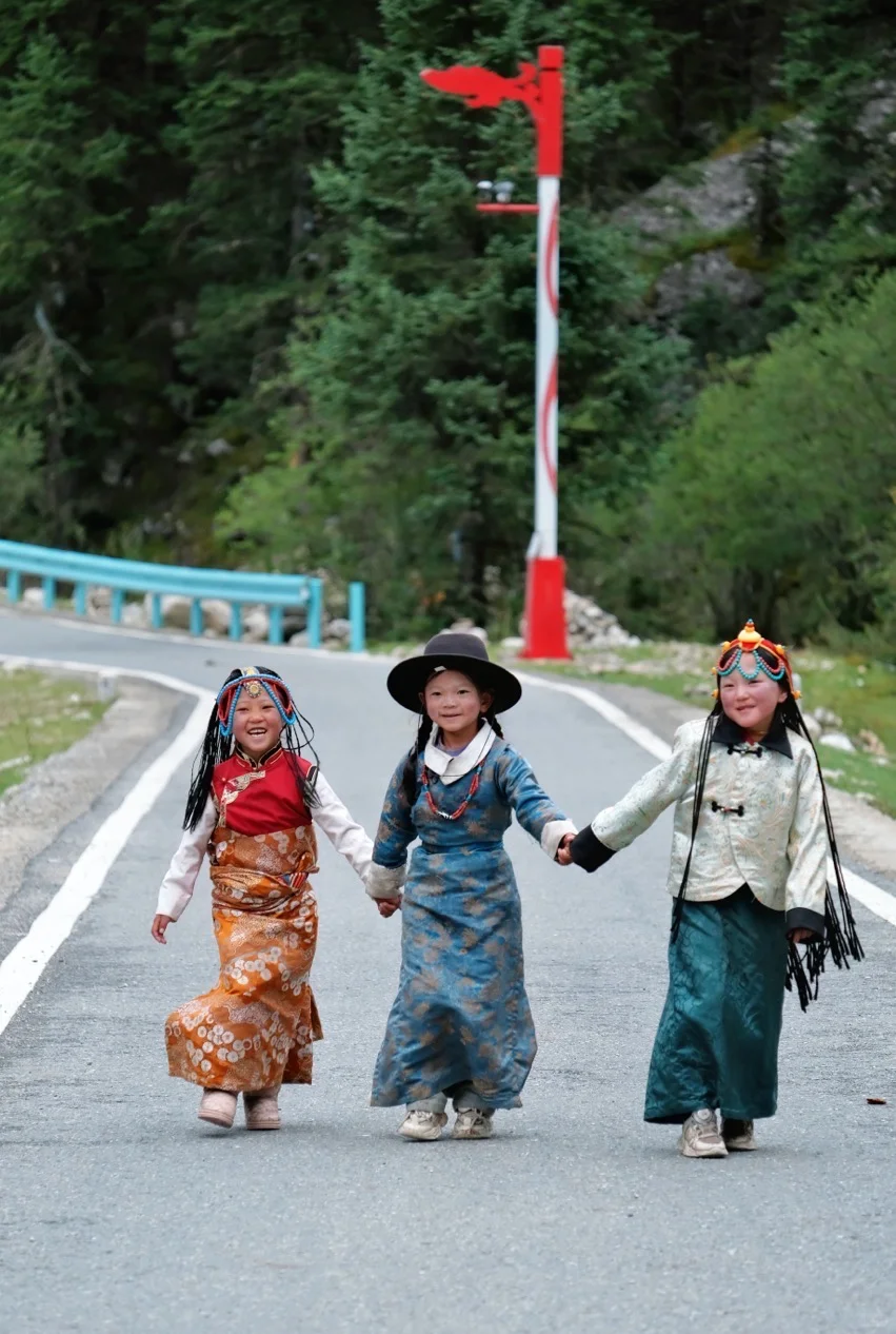 海拔4100+成功菌子自由🍄