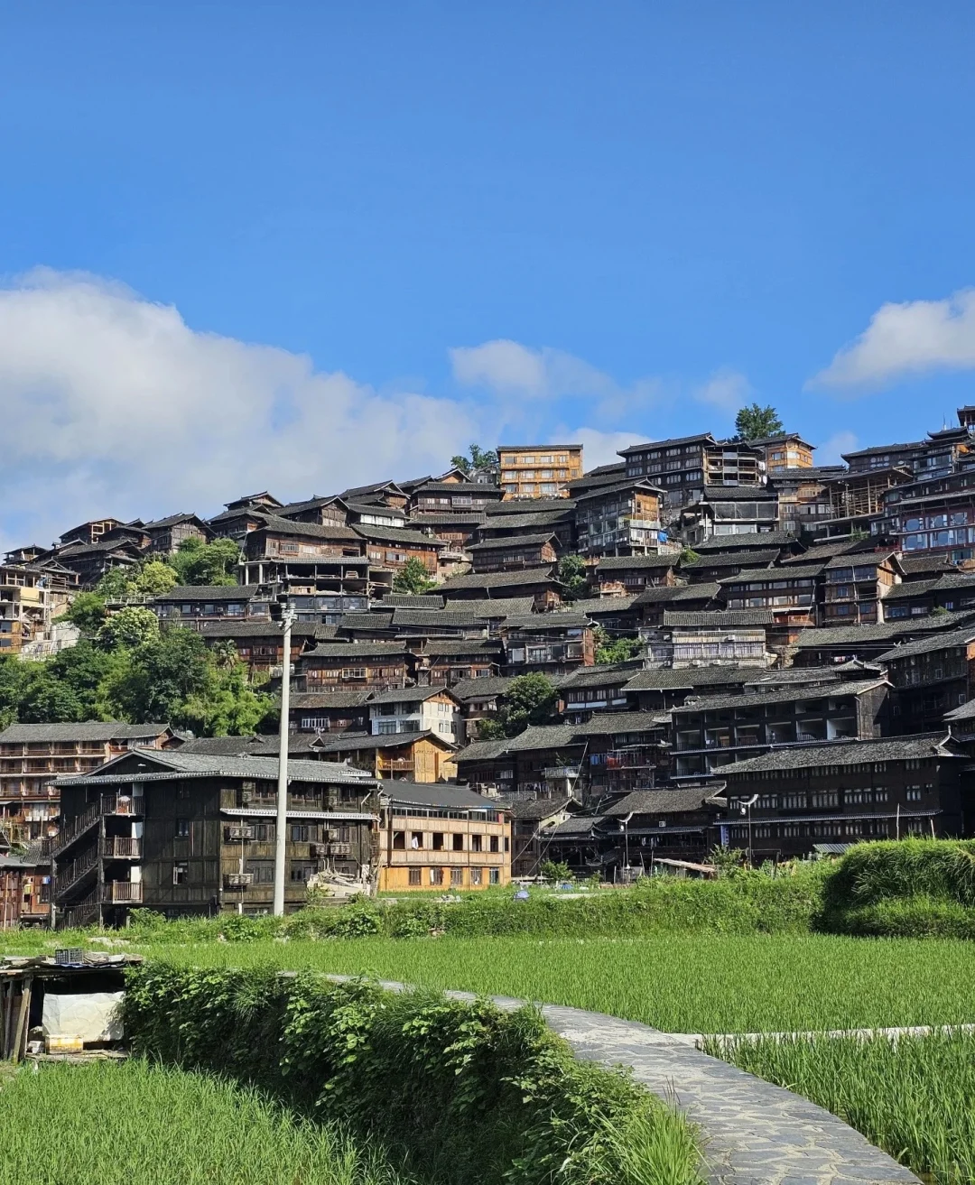 走进千与千寻的漫画夏天💚💚💚