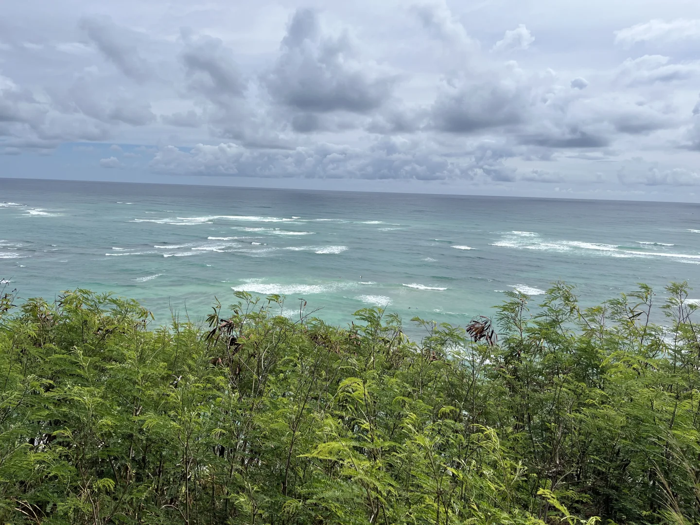 Novice E-Bike Tour ｜ 古兰尼牧场