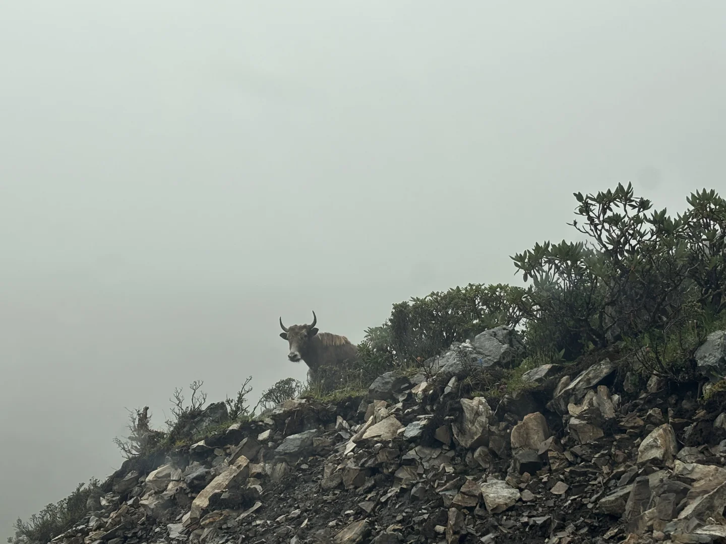 八月暑假带娃川西小环线自驾游参考