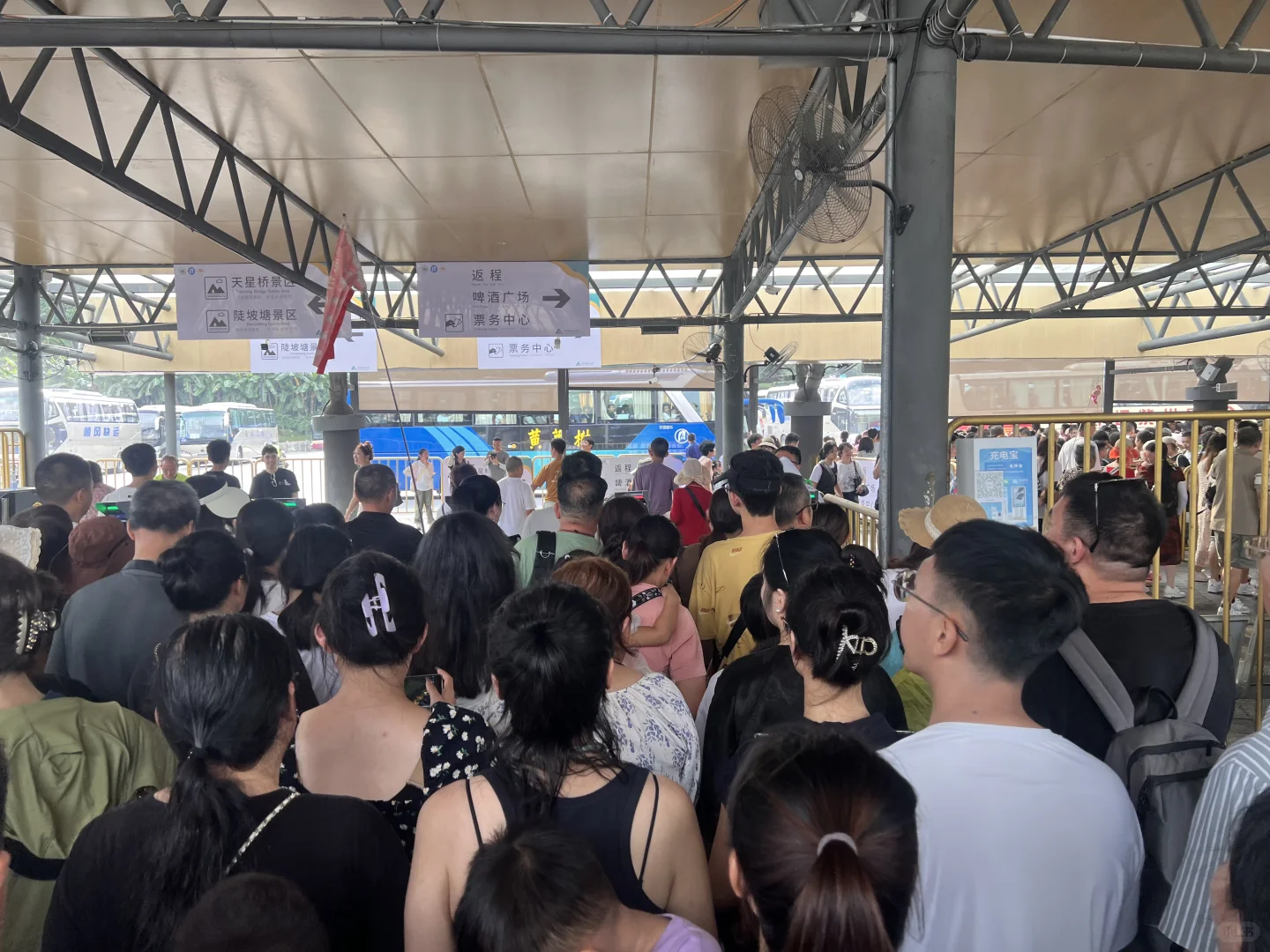 8.11最差调度景区 贵州黄果树瀑布