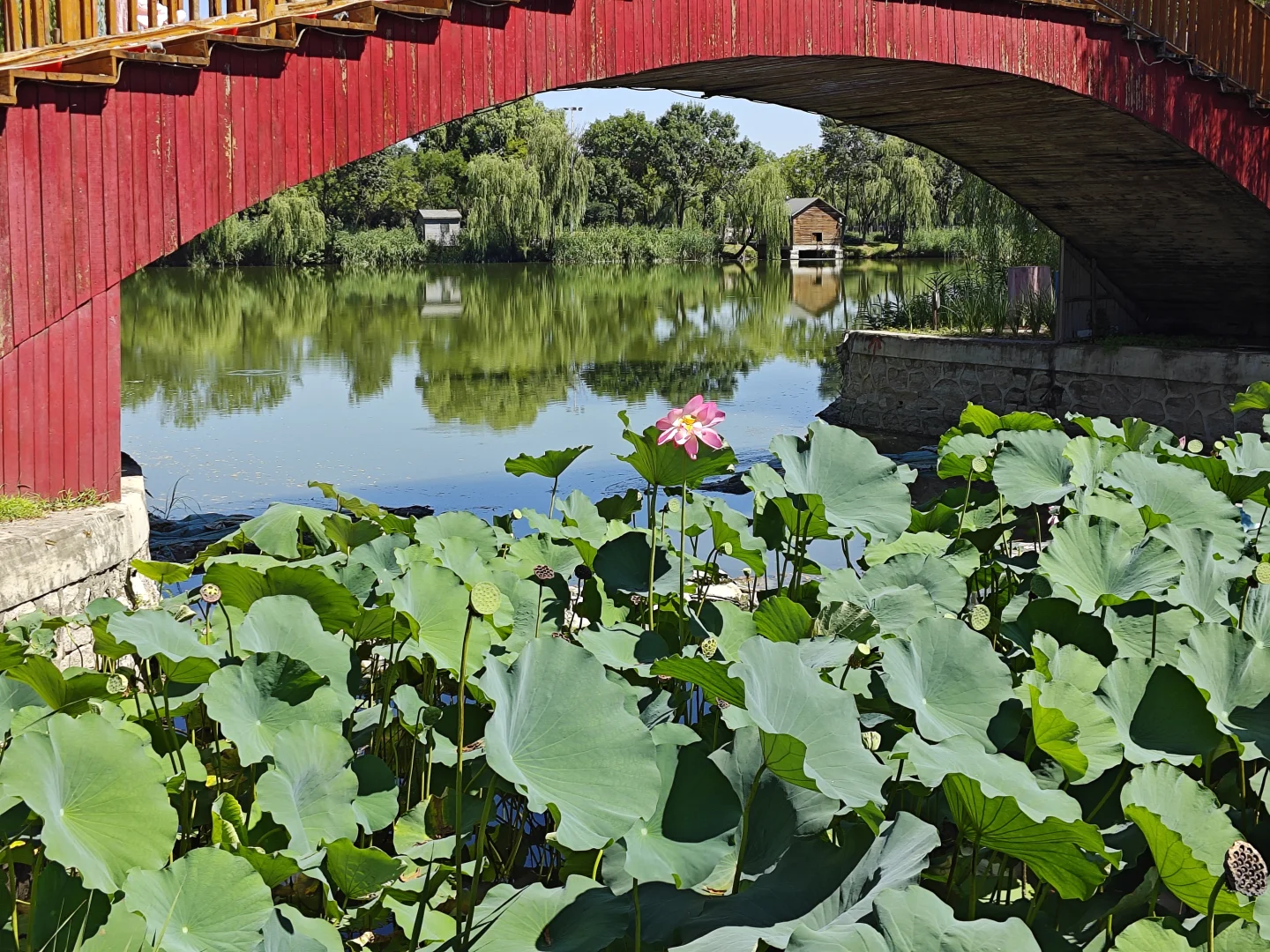 探索北京的小众景点-稻香湖公园