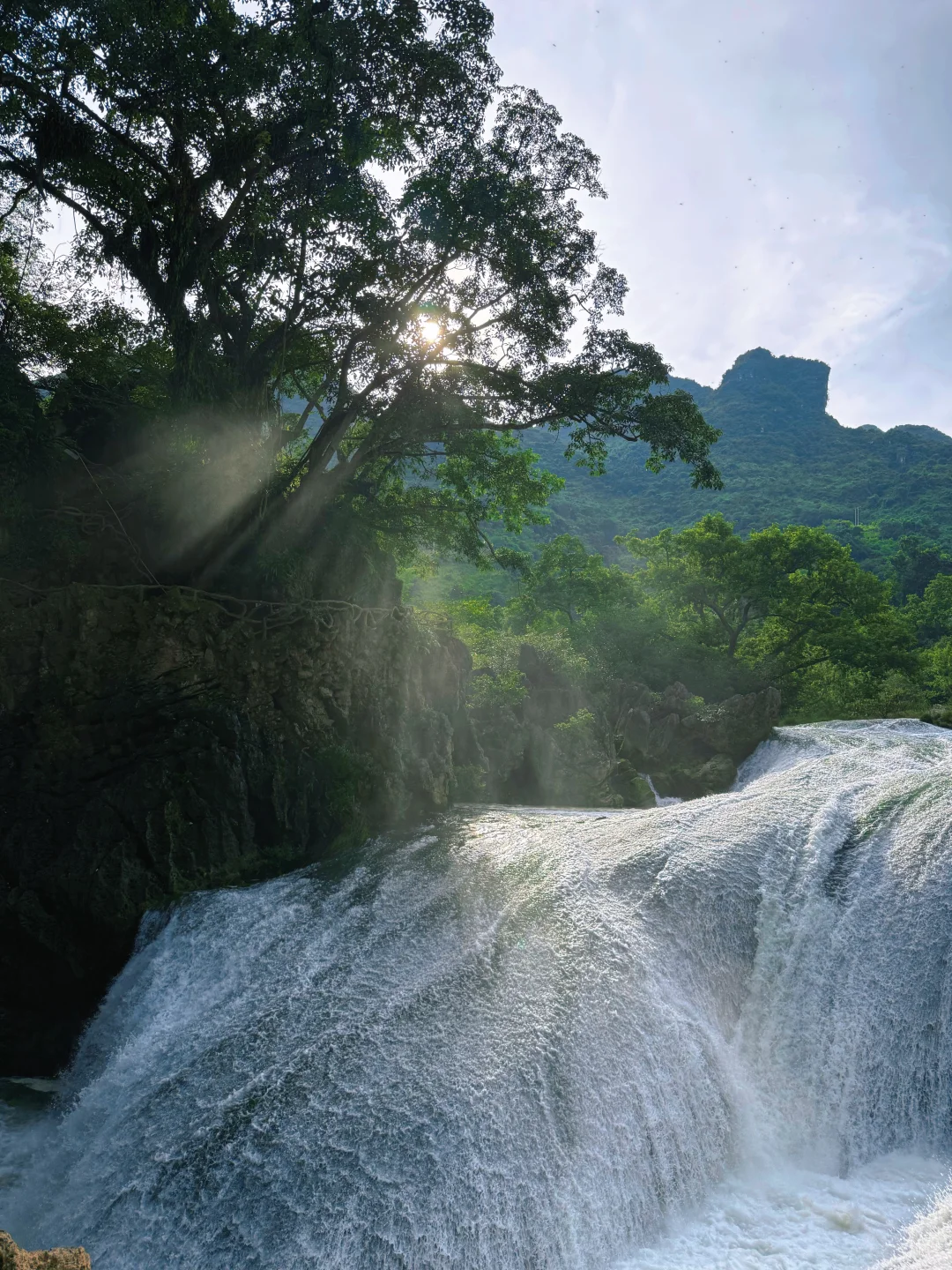 今日任务：走进小学课本里的“黄果树瀑布”
